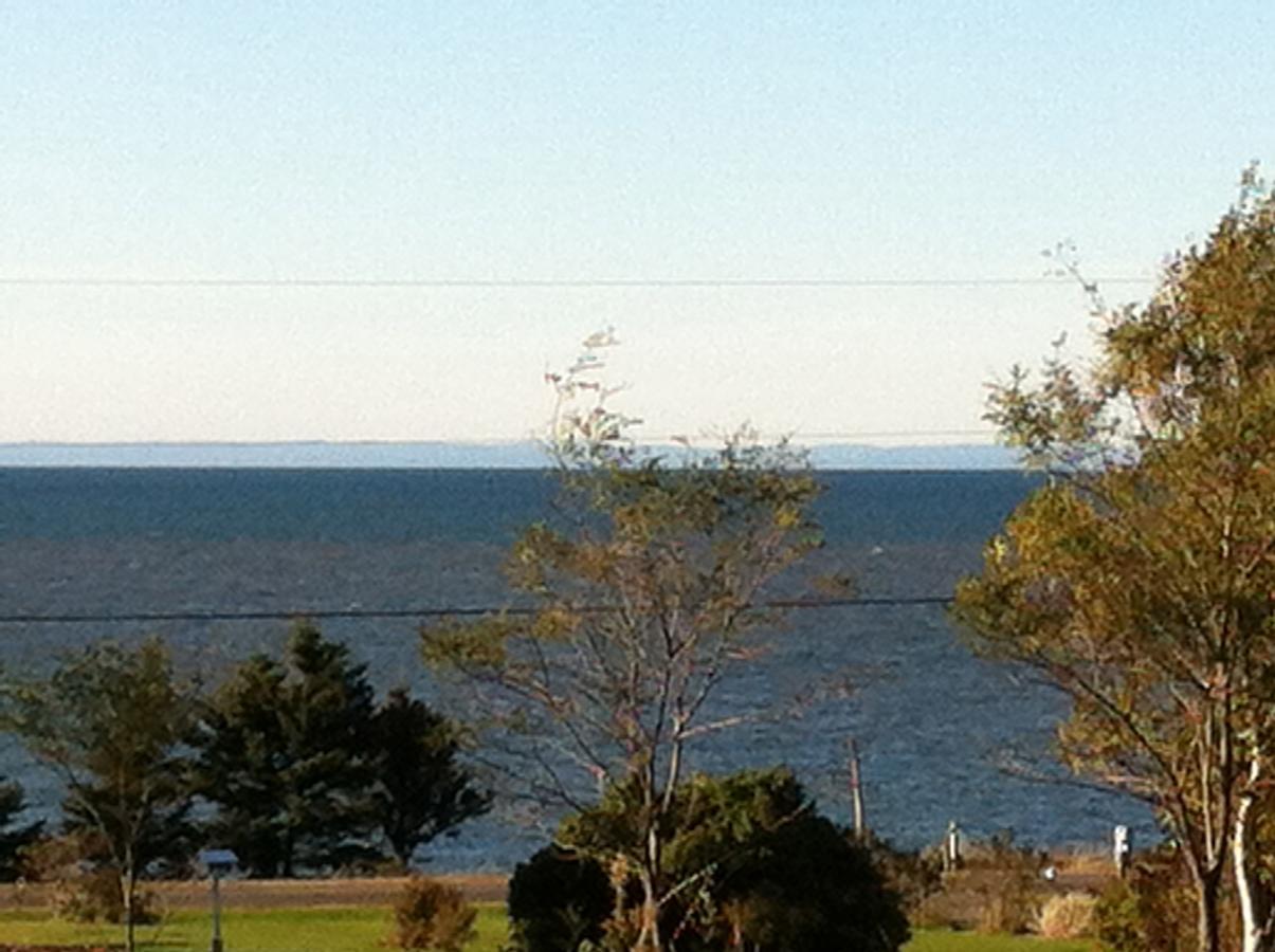 Rocky Shores & Seals Cottages Middleton Kamer foto